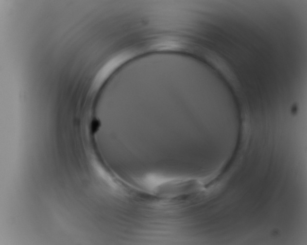 X0000113931418200910161839