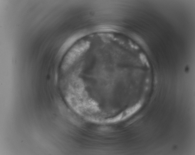 X0000113931419200910161839