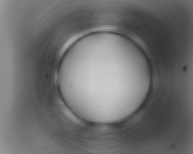 X0000113931420200910161840