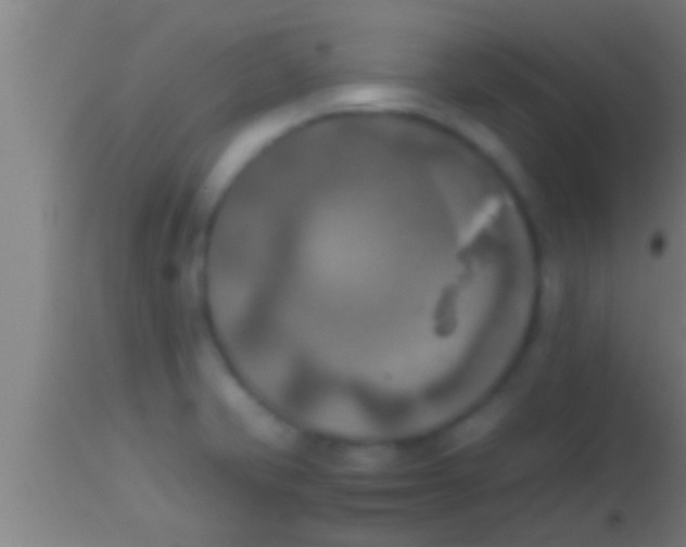 X0000113931421200910161840