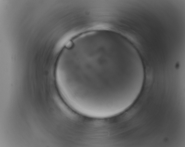 X0000113931422200910161840