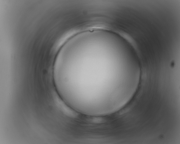 X0000113931423200910161840