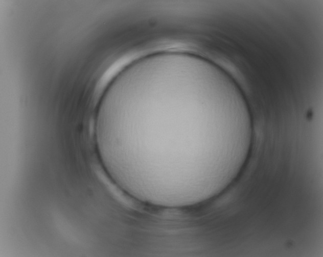 X0000113931424200910161840