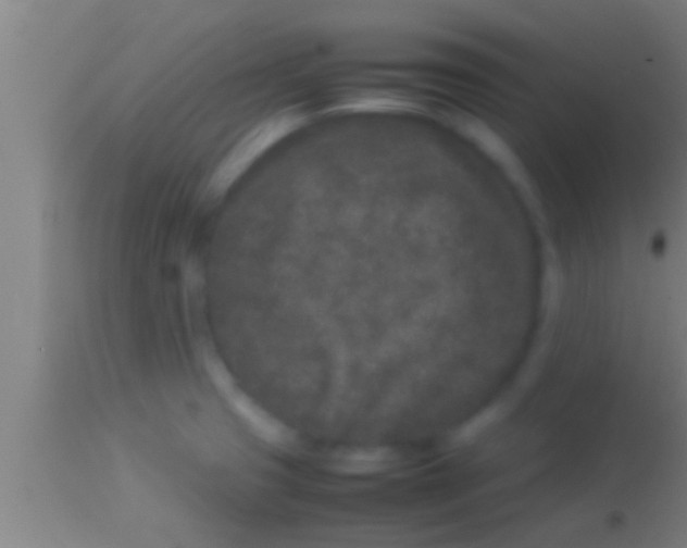 X0000113931425200910161840