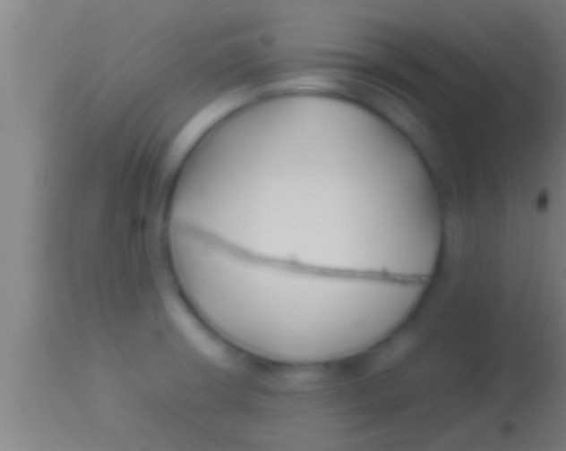 X0000113931426200910161840