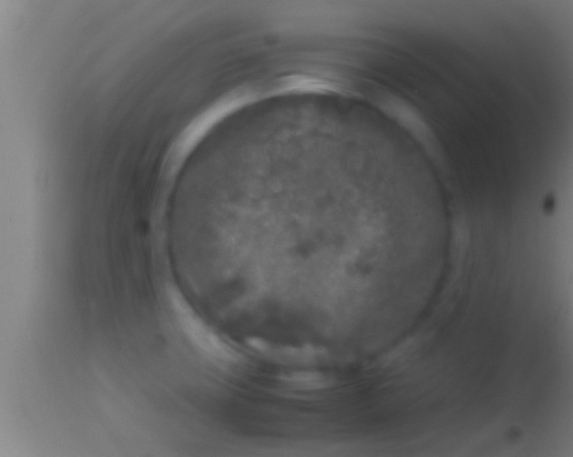 X0000113931427200910161840