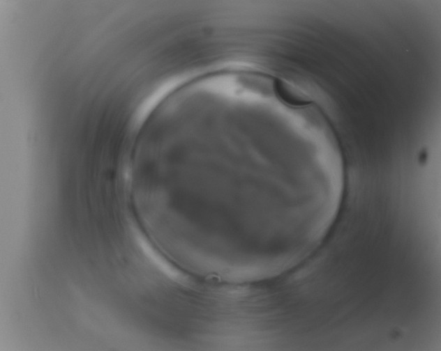 X0000113931428200910161840