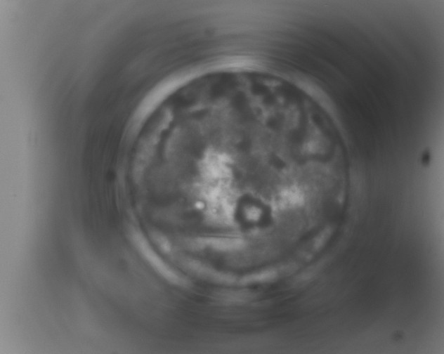 X0000113931429200910161840