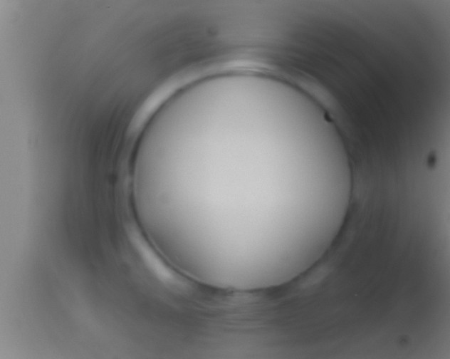 X0000113931430200910161840