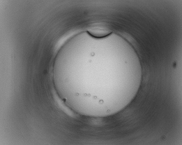 X0000113931431200910161840