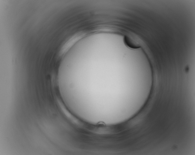 X0000113931433200910161840