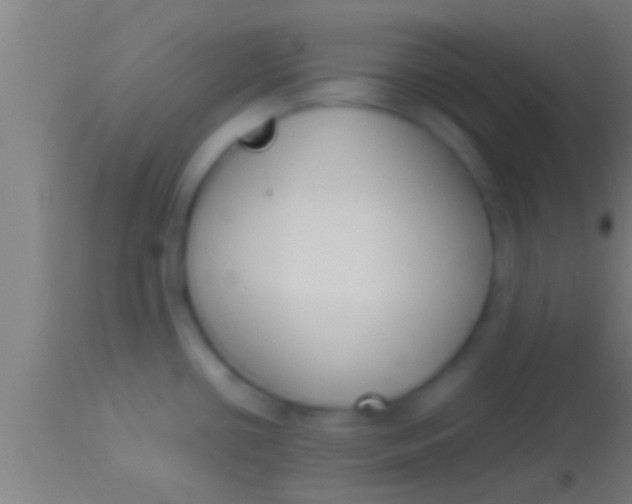 X0000113931434200910161840