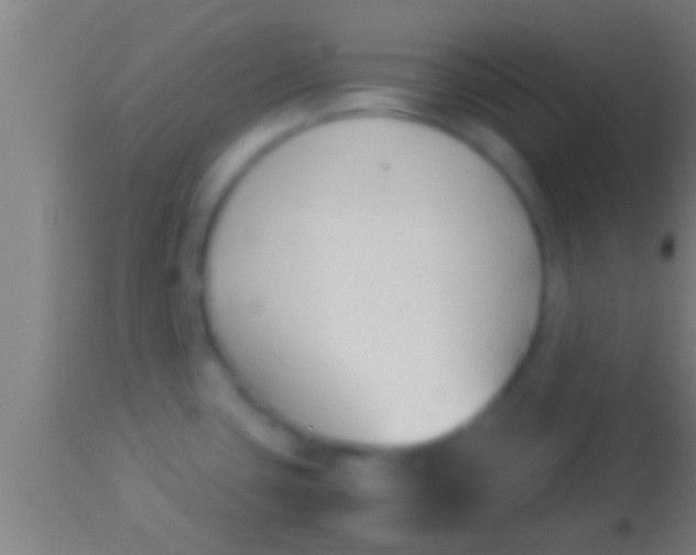 X0000113931435200910161840