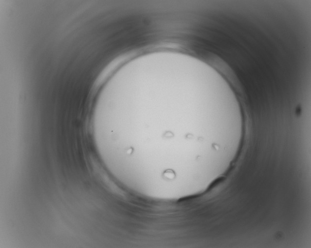 X0000113931436200910161840