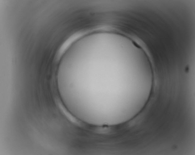 X0000113931437200910161840