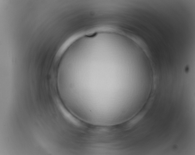 X0000113931438200910161840