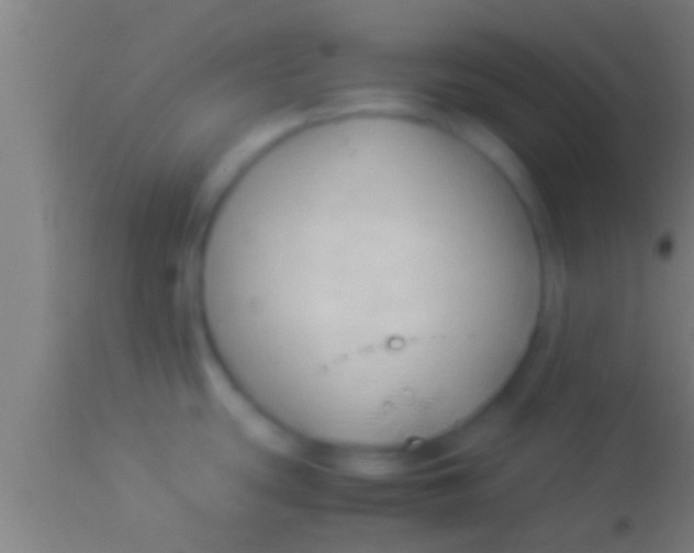 X0000113931439200910161840