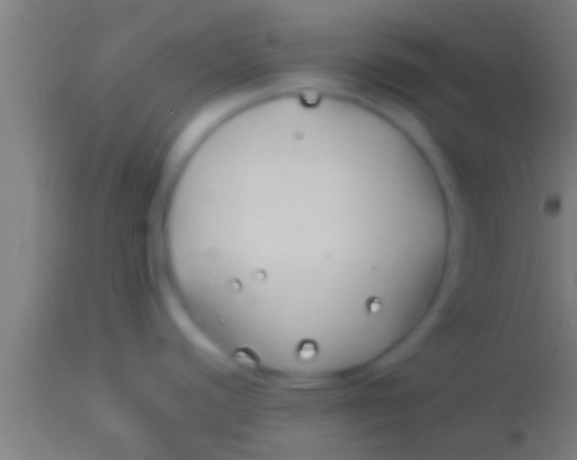 X0000113931440200910161840