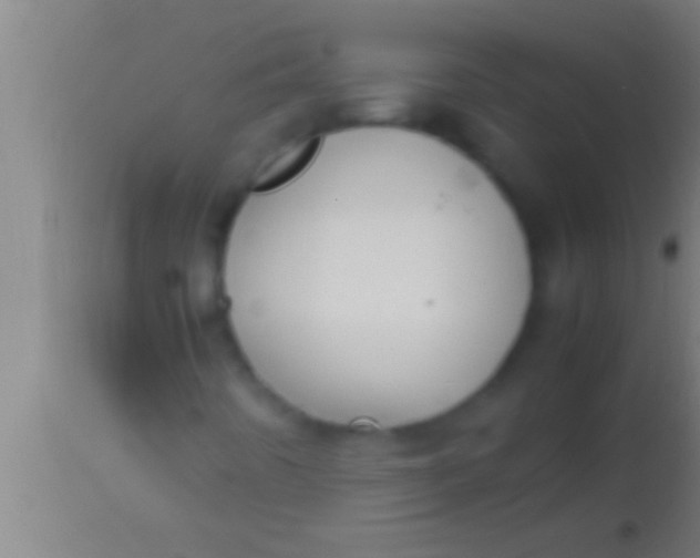 X0000113931442200910161839