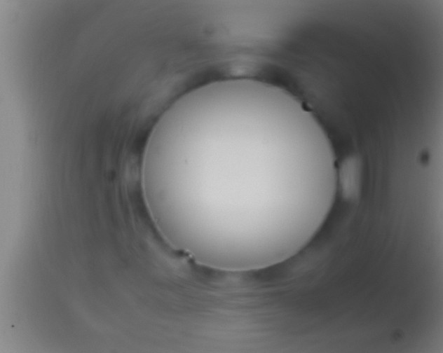 X0000113931443200910161839