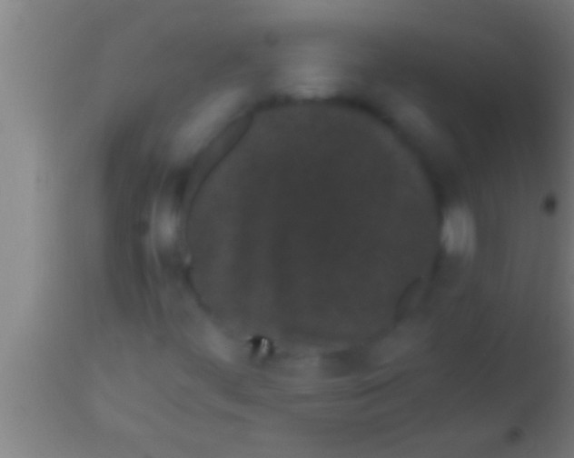 X0000113931444200910161839