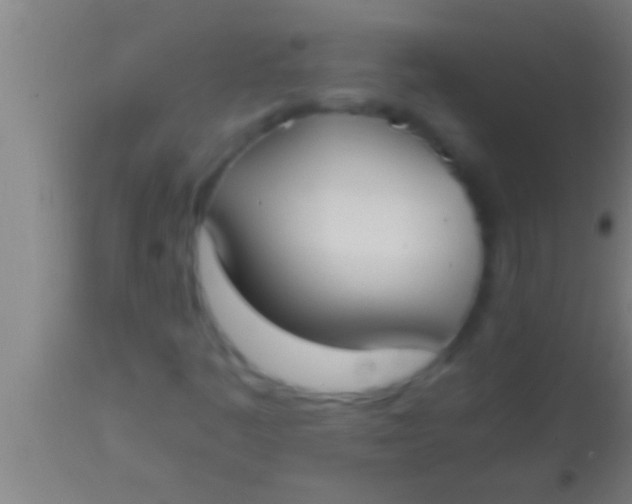 X0000113931445200910161839