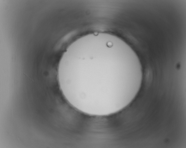 X0000113931446200910161839