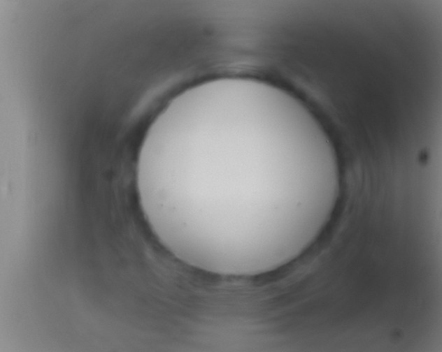 X0000113931447200910161839