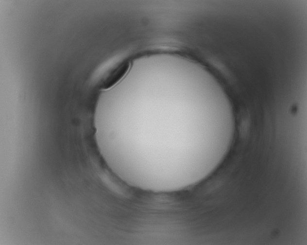 X0000113931448200910161839