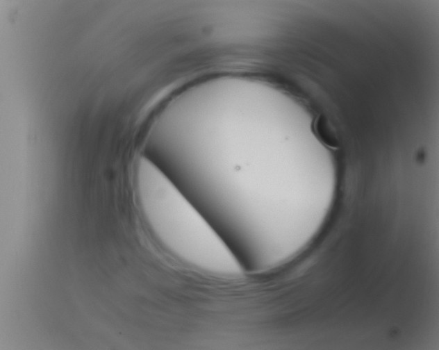 X0000113931449200910161839