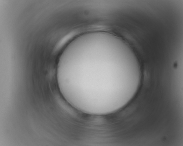 X0000113931450200910161839