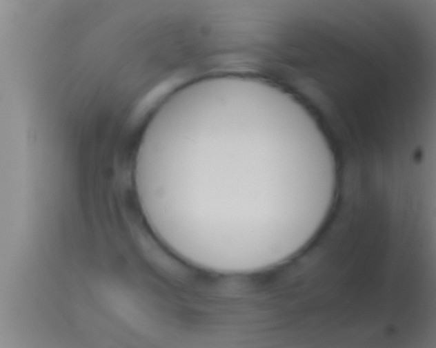 X0000113931451200910161839