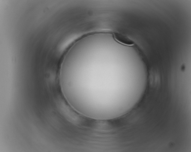 X0000113931452200910161839