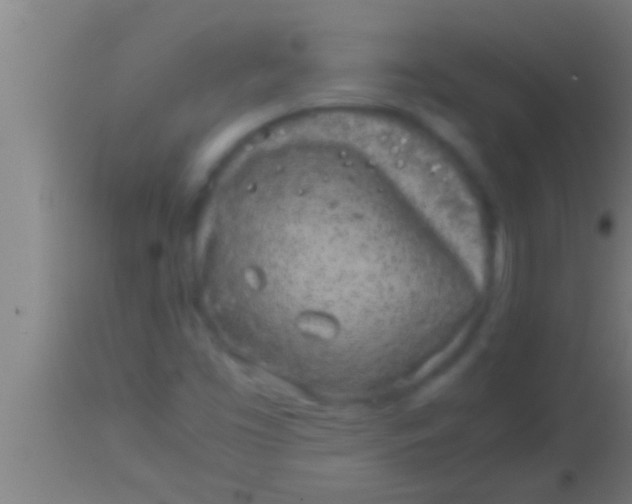 X0000113931453200910161839