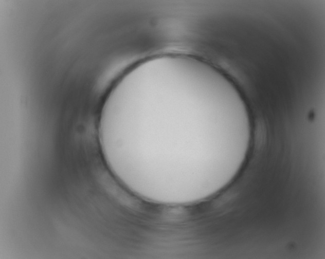 X0000113931454200910161839