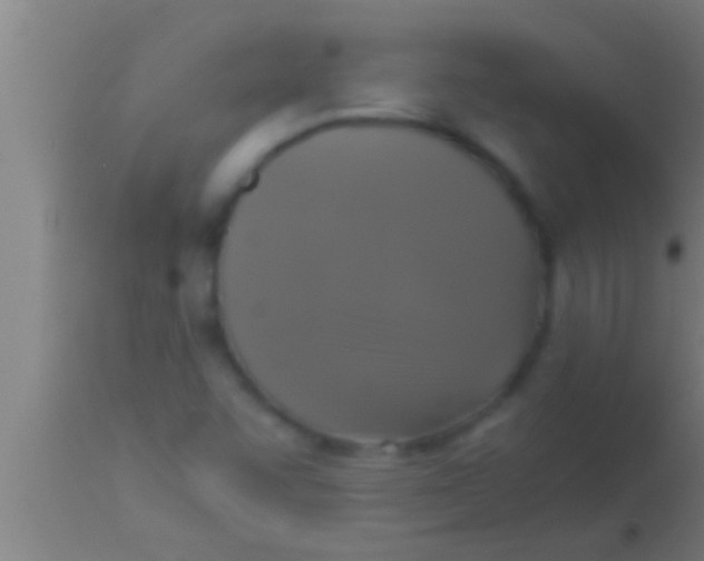 X0000113931455200910161839