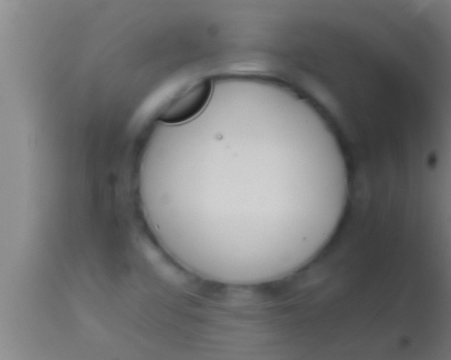 X0000113931456200910161839