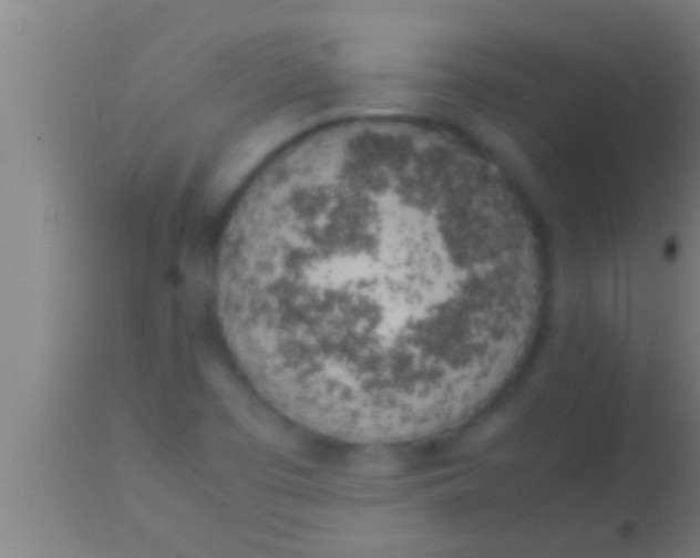 X0000113931457200910161839