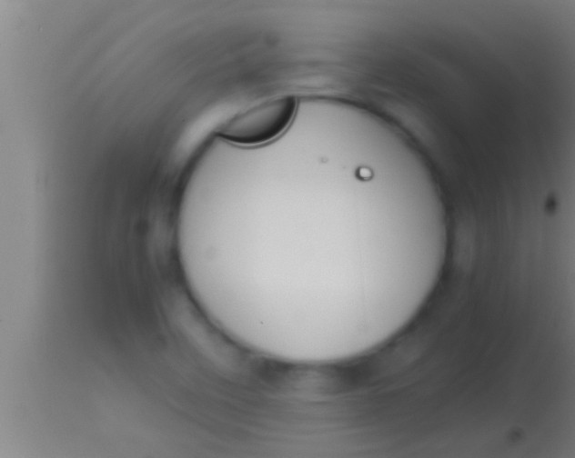 X0000113931458200910161839