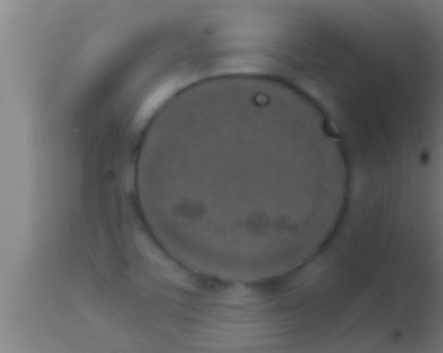 X0000113931459200910161839