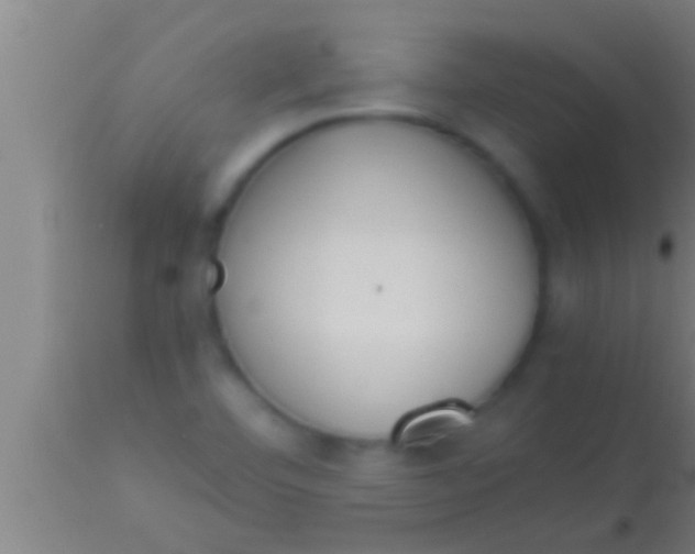 X0000113931460200910161839