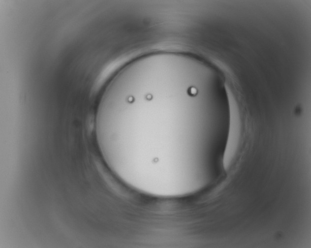 X0000113931461200910161839