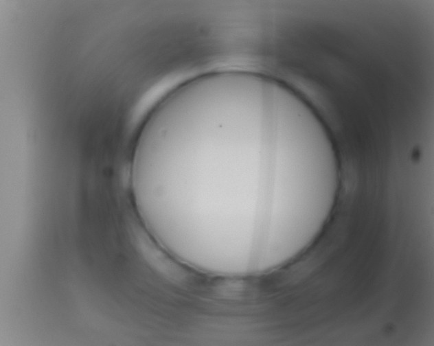 X0000113931462200910161839