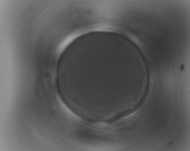 X0000113931463200910161839