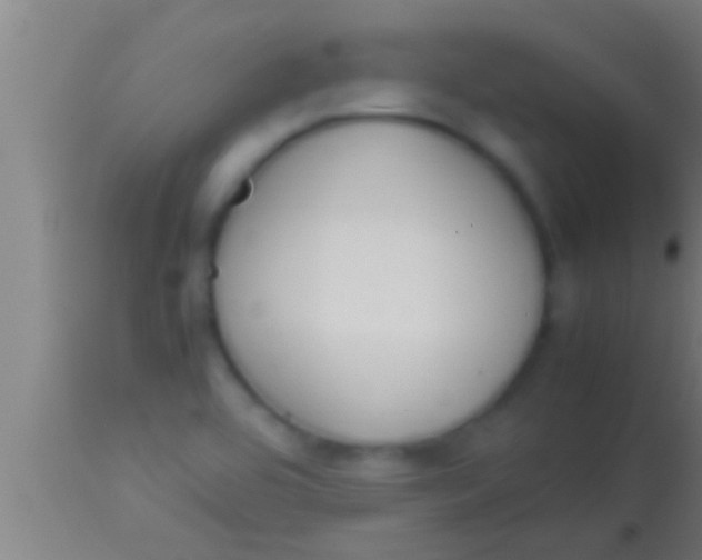 X0000113931464200910161839