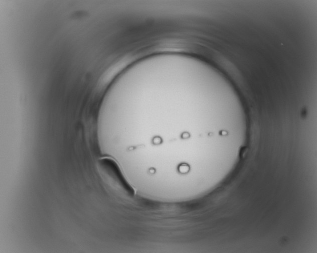 X0000113931465200910161839