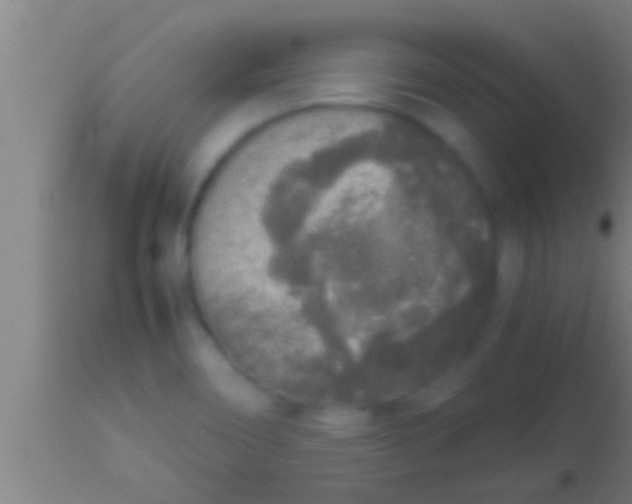 X0000113931466200910161839