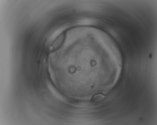 X0000113931468200910161839