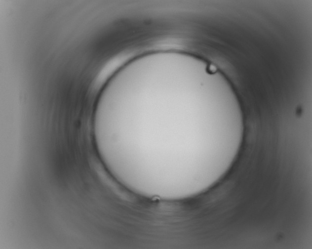 X0000113931469200910161839