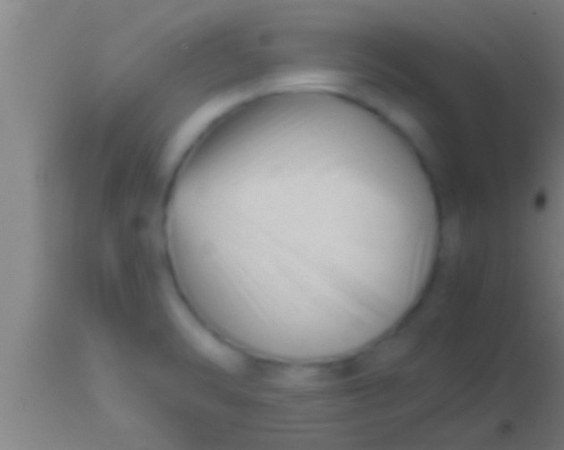 X0000113931470200910161839